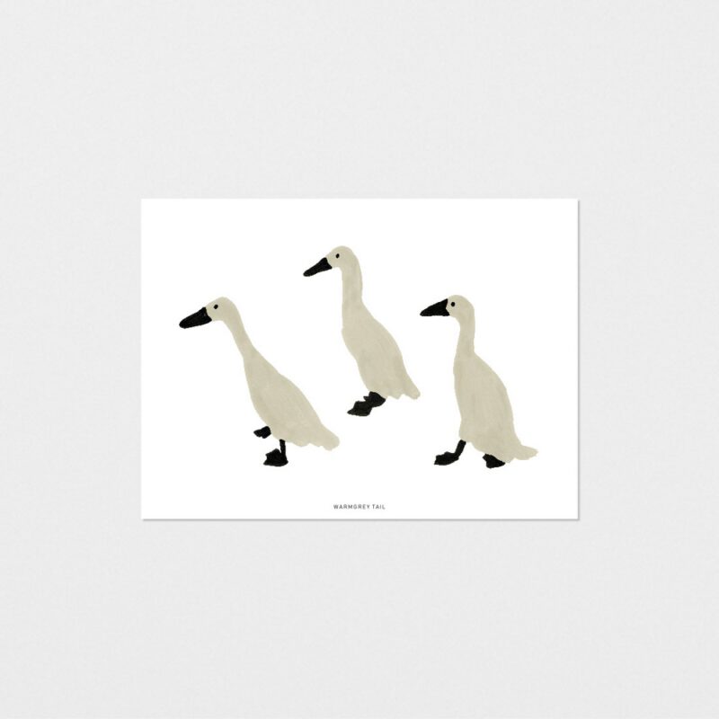 Postkarte - Indian Runner Duck